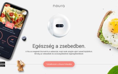 Noura website design